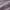 Grayish Purple, variant on LammaLoe Twin Comforter Set With Sheets, Bed In A Bag 7 Piece, Bedding Set