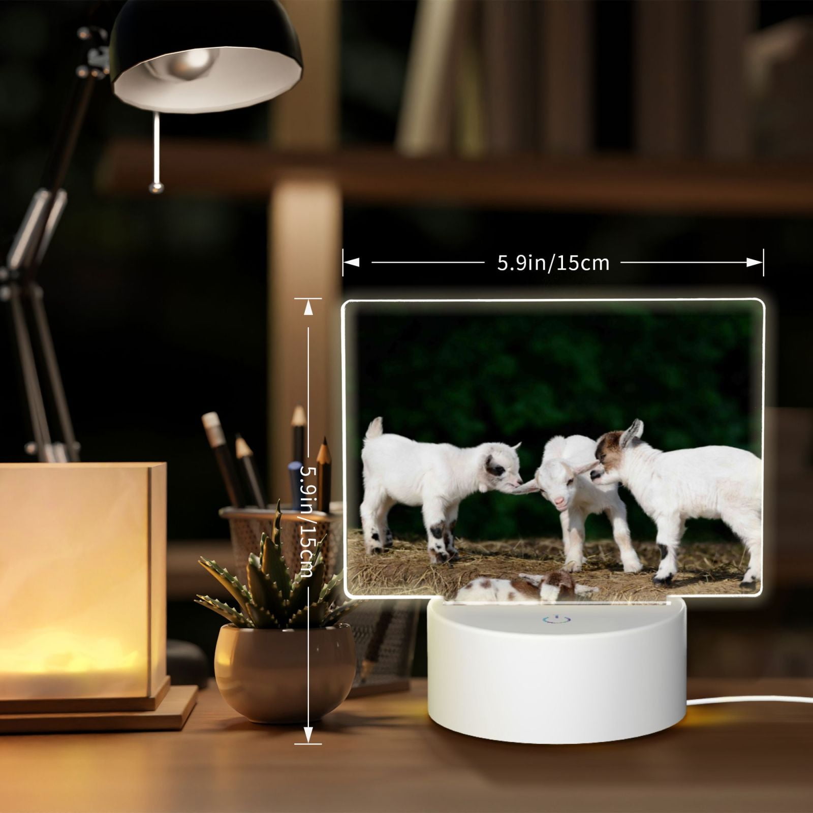 Hirioo Cute Goat Baby for Rectangular Acrylic with Night Light Best Gifts for Lover Girl Mom, Valentine's Day Anniversary Birthday Wedding Present