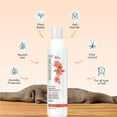 thumbnail image 3 of Anti Frizz Intense Smoothing Shampoo by Biotera for Unisex - 15.2 oz Shampoo, 3 of 8