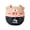 Khaki, variant on Cute Cartoon Pig Kitchen Timer Mechanical Timers Counters Cooking Timing Tool for Home Kitchen (Khaki)