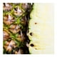 thumbnail image 2 of Piña miel mitad por kg, 2 of 5