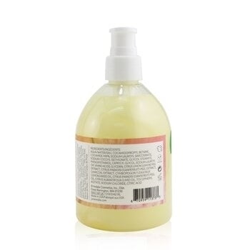 Jane Iredale Citrus + Charcoal Hand Wash 300ml/10oz
