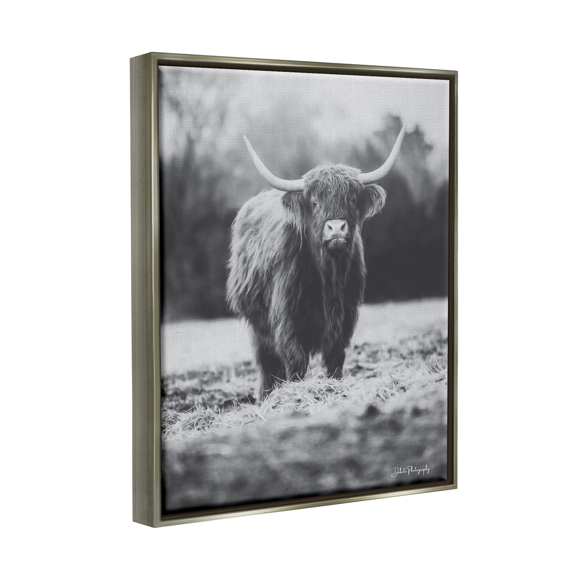 Stupell Grazing Cattle Farmhouse Photography Animals & Insects Photography Gray Floater Framed Art Print Wall Art