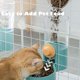 thumbnail image 5 of Cuenco colgante para gatos, dispensador automático de agua, alimentador, agua azul para perros, 5 of 5