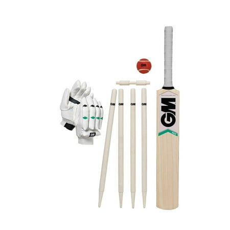 GM Six6 Cricket Set (Best Youth Cricket Bat)
