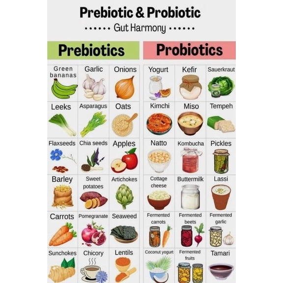 Prebiotic And Probiotic Food Chart Poster Suitable For Home Kitchen Dining Room Sanatorium Rehabilitation Centre Office Decor poster