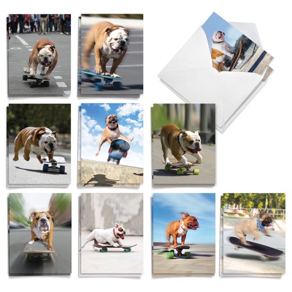The Best Card Company 20 Assorted Funny Blank Notes Bulk Pack Set 4x5.12 w/ Envelopes, 10x2 Designs, For Men, Women, Skating Bulldogs AM9517OCB-B2x10