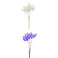 thumbnail image 1 of 2 juegos de de flores secas naturales, hierba de cola , decoración de tallos DIY Soledad hierba de pampa seca, 1 of 4