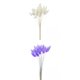 thumbnail image 1 of 2 juegos de de flores secas naturales, hierba de cola , decoración de tallos DIY Soledad hierba de pampa seca, 1 of 4