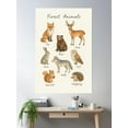 thumbnail image 2 of Forest Animals Poster Wall Art, Modern Wall Decor, 12x18 UNFRAMED, 2 of 3
