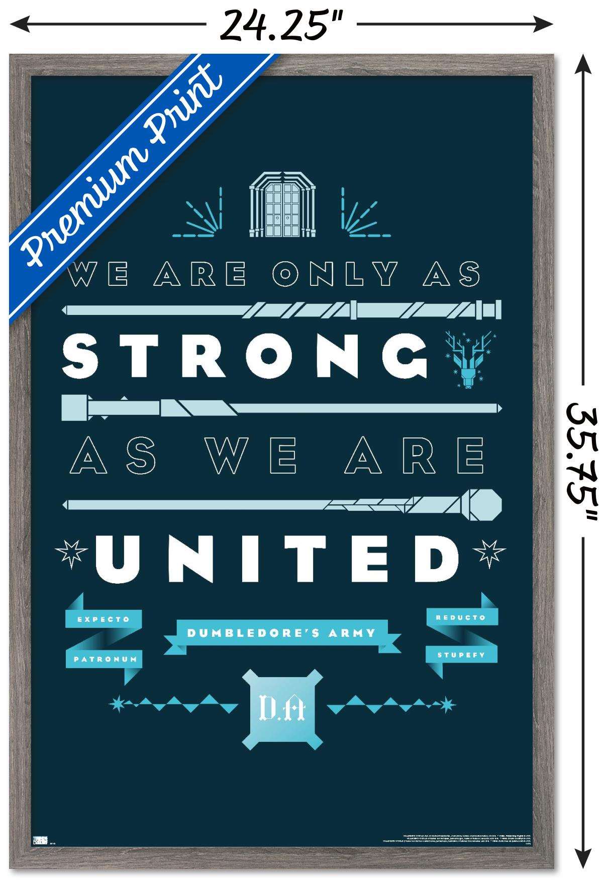 Harry Potter - United Wall Poster, 22.375" x 34", Framed