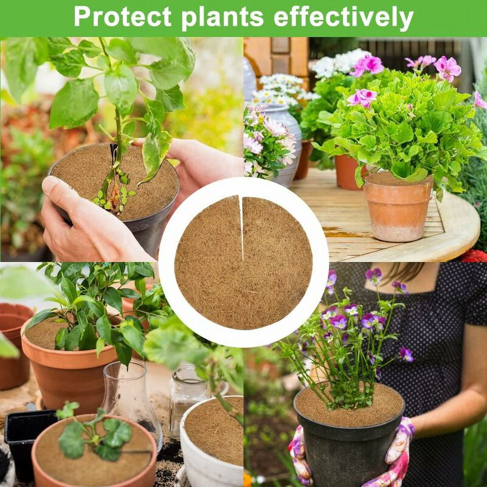 Durable Plant Coir Mats for Enhanced Protection, Ideal for Gardens, Balconies & Flower Pots - Easy Cut 30cm Coconut Fiber Mulch Discs - 5 Pack