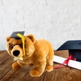 thumbnail image 4 of Oso de Peluche Grande La Merced de Graduación Aspecto Real, 4 of 4