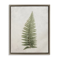 Stupell Industries Detailed Fern Frond Botanical & Floral Painting Brown Floater Framed Art Print Wall Art, 25 x 31