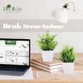 thumbnail image 5 of Der Rose 2-Pack Mini Artificial Potted Plants for Desk, Table, Home, Bathroom, or Office Decor., 5 of 9