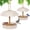 Ivory White, variant on Kingsyard Bamboo Fiber Platform Bird Feeder with Roof, 1.5 lb Capacity, Ivory White (2 Pack)