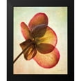 thumbnail image 2 of Van Swearingen, Debra 12x14 Black Modern Framed Museum Art Print Titled - Lenton Rose I, 2 of 5
