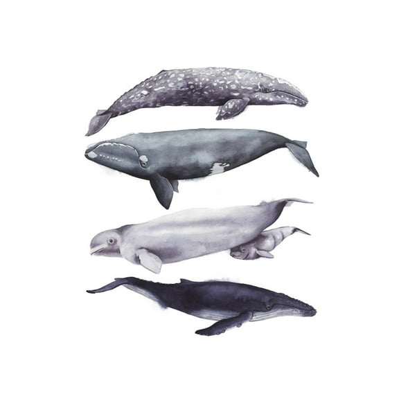 Art.com Whale Stack I Art Print by Grace Popp, 12" x 16"