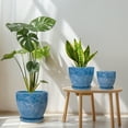 thumbnail image 2 of Ceramic Planter Set of 3(6/8/10 inch) with Drainage Hole, Round Indoor Outdoor Pots for Plants for Snake Plant & Home Office Decor Sky Blue, 2 of 7