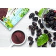 thumbnail image 6 of Organic Mulberry Juice Powder, 9 Pounds — Non-GMO, Kosher, Raw, Vegan — by Food to Live, 6 of 7
