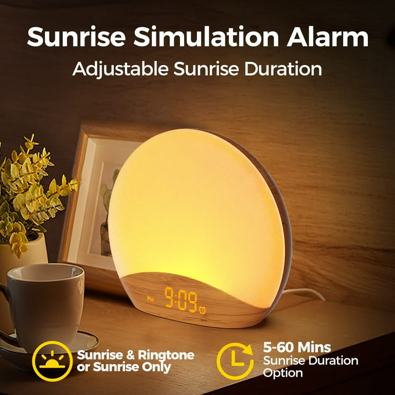 Coulax wake 2024 up light