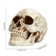 thumbnail image 3 of EUDIDV Halloween Decorations Skeleton Head Halloween Skull Artwork Personalized Decoration Sale Clearance, 3 of 6