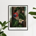 thumbnail image 1 of The Winged Passion-Flower - 1807 | Robert John Thornton | Premium Fine Art Print | 19th Century English | Botany Art | Botanical | Plant Art | Nature Art, 1 of 7