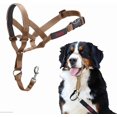 thumbnail image 1 of HALTI Headcollar Desert Sand Size 4, 1 of 5