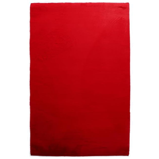 Cozy COZY602576 5 ft. x 7 ft. 6 in. Soft Plush Rectangle Area Rug, Red