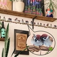thumbnail image 6 of Colorful Birds Wall Stickers Peel and Stick Wallpaper Removable Birds Wall Decals Watercolor Art Decor Wallpaper for Kids Living Room Nursery Room Bedroom Office Playroom, 6 of 8