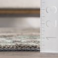thumbnail image 4 of nuLOOM BINB03A Vintage Floral Lacy Area Rug, 3` x 5`, Blue, 4 of 4