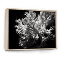 thumbnail image 2 of Designart "Monochrome Anemone Reef III" Coastal Coral Under Water Floater Framed Wall Art Living Room, 2 of 5