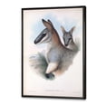 thumbnail image 3 of Designart 'Ancient Kangaroo' Farmhouse Framed Canvas Wall Art Print, 3 of 5
