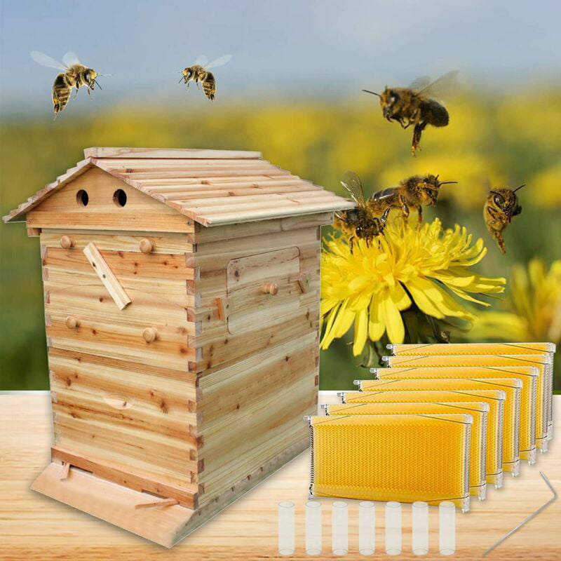 7x Newest Auto Honey Hive Beehive Frames Beekeeping Brood Cedarwood Box Set US 