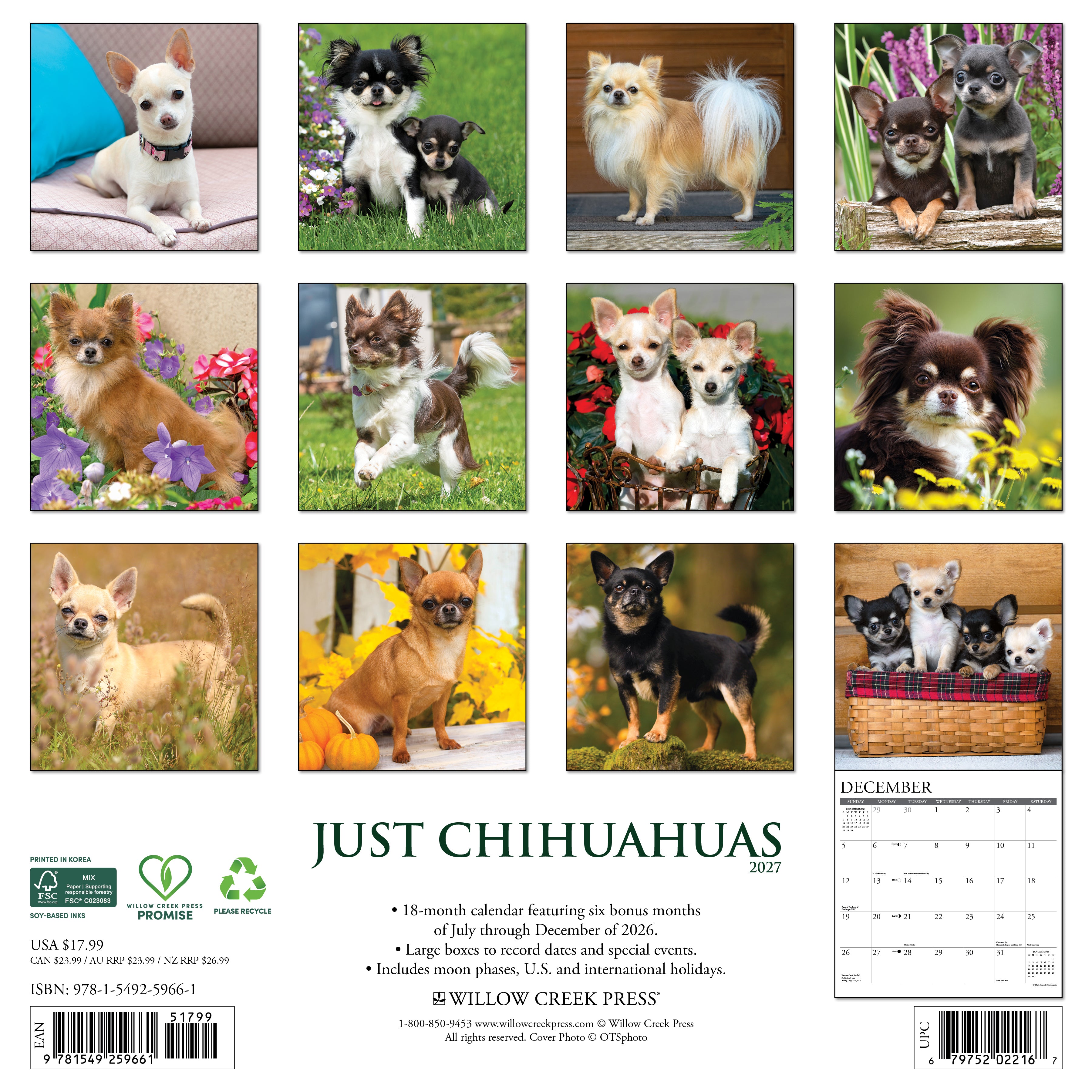 Willow Creek Press, Chihuahuas 2027 Wall Calendar