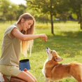 thumbnail image 5 of Dog Treat Training Pouch, Pet Kibble Treat Snack Bag Portable Puppy Bait Reward Pouch, Pet Training Waist Bag Dog Treat Carrier Holder Food Storage Container, 5 of 6