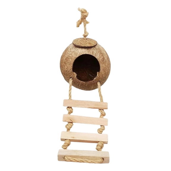 Natural Coconut Bird Hide with Ladder – 4.3" x 5.5" Hanging Coconut Shell Birdhouse, Safe Breeding Nest for Parrots, Budgies & Small Birds, Includes Orange Treat