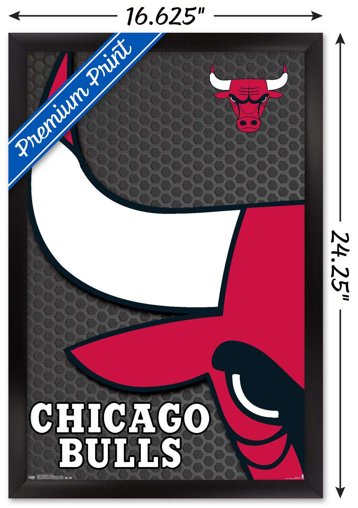 NBA Chicago Bulls - Logo 14 Wall Poster, 14.725" x 22.375", Framed