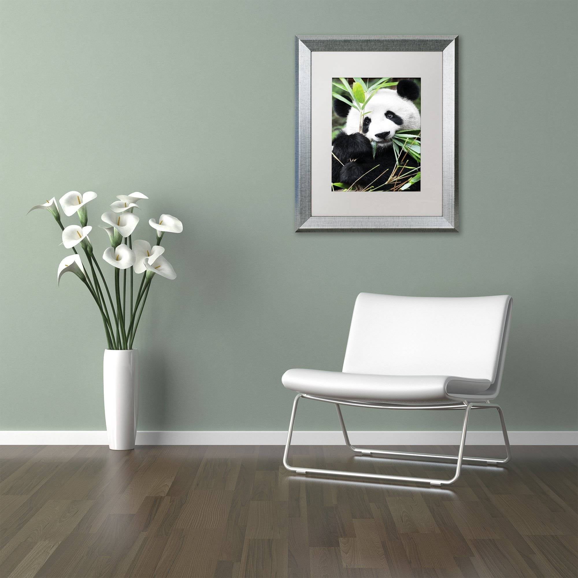 Trademark Fine Art "Giant Panda I" Canvas Art by Philippe Hugonnard, White Matte, Silver Frame