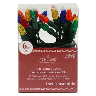 Ashland christmas 2024 crafting lights