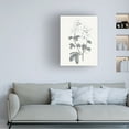 thumbnail image 3 of Wild Apple Portfolio 'Neutral Botanical III' Canvas Art, 3 of 3