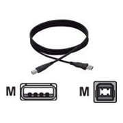 Accell Premium USB Cable