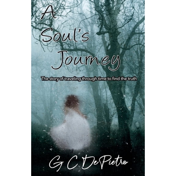 A Soul's Journey, (Paperback)