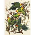 thumbnail image 2 of Audubon, John James 19x24 Gold Ornate Wood Framed with Double Matting Museum Art Print Titled - Carolina Parrot, 2 of 4