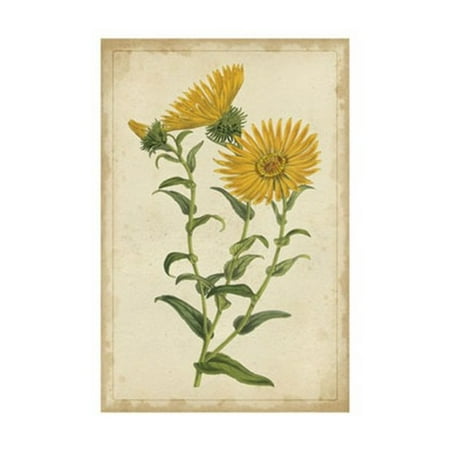 15 Poster Print - Curtis Blooms in Yellow II Poster Print by Vision studio (10 x 15)