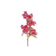 thumbnail image 1 of Christmas Berry Bundles Pick - Set of 6, 1 of 3