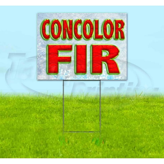 Concolor Fir (18" x 24") Yard Sign, Includes Metal Step Stake