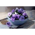 thumbnail image 4 of HC Companies 14 Inch Classic Plastic Garden Round Bowl Planter Pot, Chocolate, 4 of 7