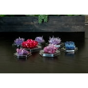 4M Crystal Growing Science Model Kit with 7 Experiments