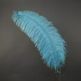 thumbnail image 1 of Zucker Feather Products Ostrich Wide Prime Femina Feathers - Light Turquoise, 1 of 1